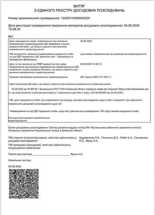 Стеження за депутаткою від УДАРу Смірновою: відкрито кримінальну справу